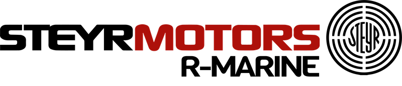 Steyr-Logo-300x60