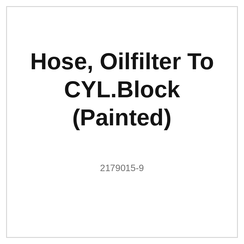 Hose, Oilfilter To CYL.Block (Painted)